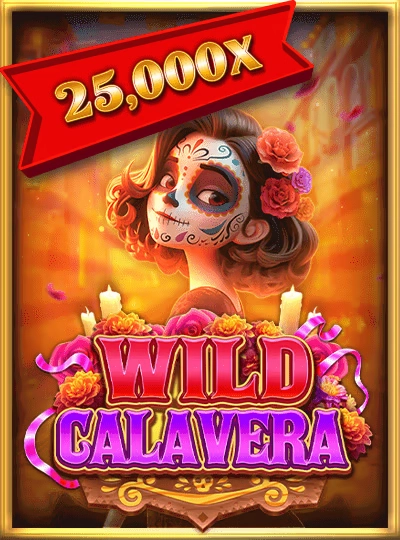 bet789
